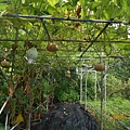 DSCN5549.JPG