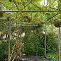 DSCN5590.JPG