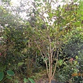 DSCN5728.JPG