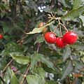 DSCN6041.JPG