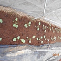 DSCN6176.JPG