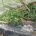 DSCN6172.JPG