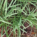 DSCN6173.JPG
