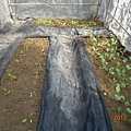 DSCN6220.JPG