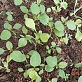 DSCN6160.JPG