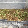 DSCN6159.JPG