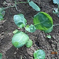 DSCN6219.JPG