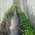 DSCN6189.JPG