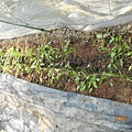 DSCN6224.JPG