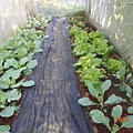 DSCN6210.JPG