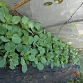 DSCN6200.JPG
