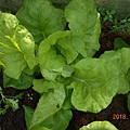 DSCN6207.JPG