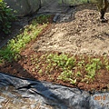 DSCN6163.JPG