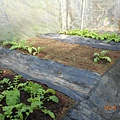 DSCN6213.JPG