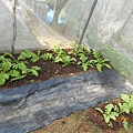 DSCN6166.JPG