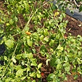 DSCN6228.JPG
