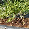 DSCN6169.JPG