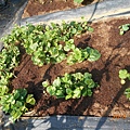 DSCN6170.JPG