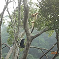 DSCN6267.JPG