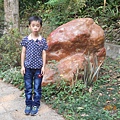 DSCN6307.JPG
