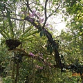 DSCN7622.JPG