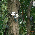DSCN7633.JPG