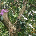 DSCN7632.JPG