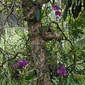 DSCN7637.JPG