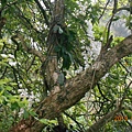 DSCN7640.JPG