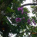 DSCN7641.JPG