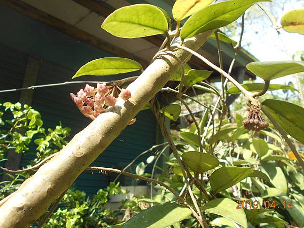 DSCN7663.JPG