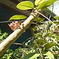 DSCN7663.JPG
