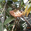 DSCN7669.JPG
