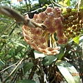 DSCN7670.JPG