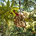 DSCN7671.JPG