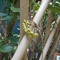 DSCN7666.JPG