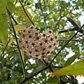 DSCN7724.JPG
