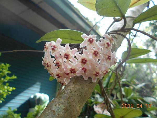 DSCN7722.JPG
