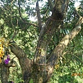 DSCN7987.JPG