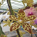 DSCN8144.JPG