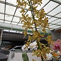 DSCN8142.JPG