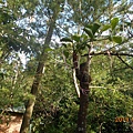 DSCN8208.JPG
