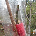 DSCN7099.JPG