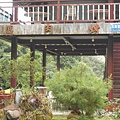 DSCN8492.JPG