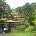 DSCN8506.JPG