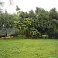 DSCN8471.JPG