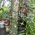 DSCN8643.JPG