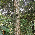 DSCN8644.JPG