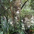 DSCN8642.JPG