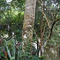 DSCN8645.JPG